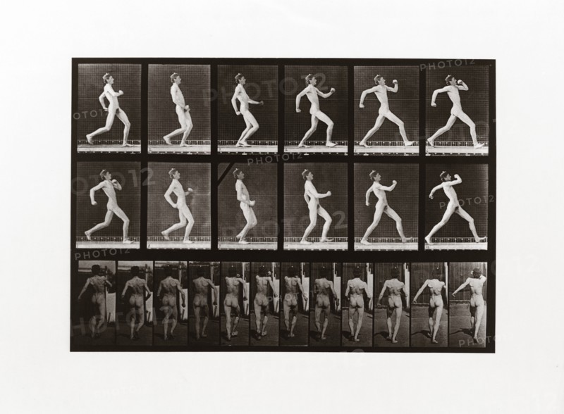 Man running, Plate 7 from Animal Locomotion, 1887 (photograph)