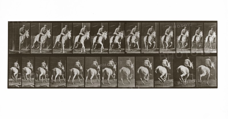 Galloping Horse with Rider, Plate 635 from Animal Locomotion, 1887 (photograph)