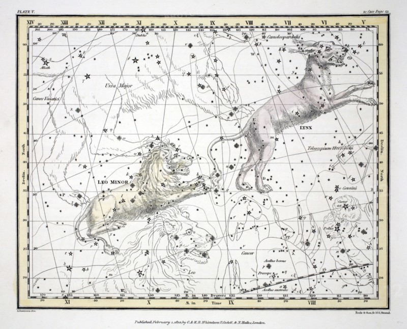 The Constellations (Plate V) Lynx, Leo Minor, 1822.