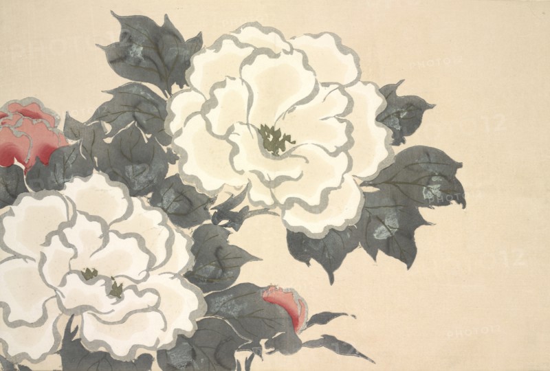 Fukami-Gusa, from Momoyo-gusa (The World of Things) Vol I, pub.1909 (colour block woodcut)
