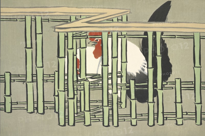 Chabo, from Momoyo-gusa (The World of Things) Vol II, pub.1909 (colour block woodcut)