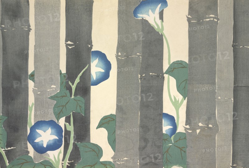 Asagao, from Momoyo-gusa (The World of Things) Vol I, pub.1909 (colour block woodcut)