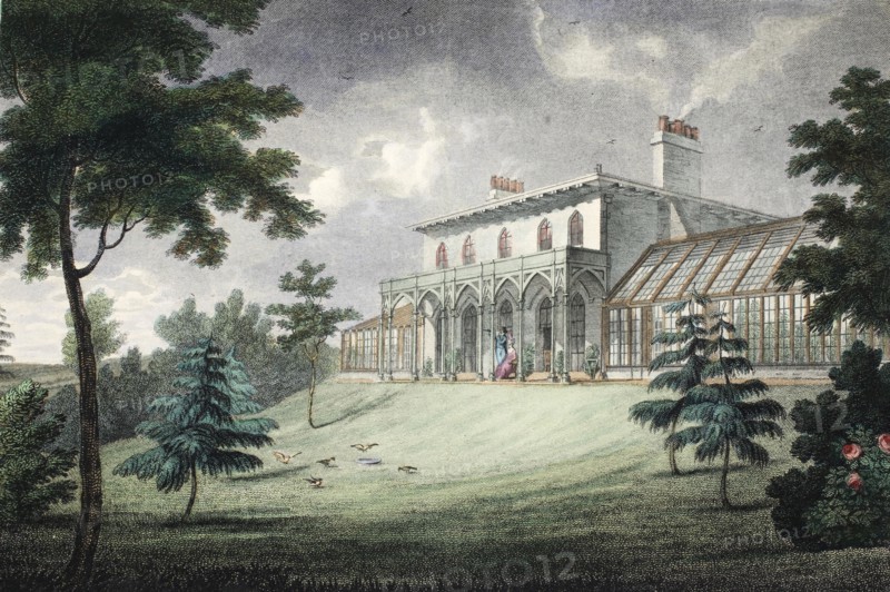 Mount Ararat, Wimbledon, pub. c. 1828 (hand coloured engraving)