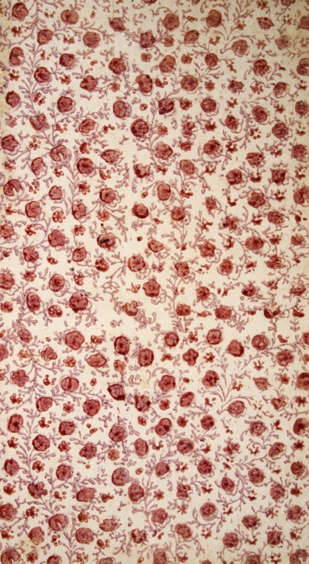 Floral Endpaper (hand coloured engraving). Creator: English School (18th Century).