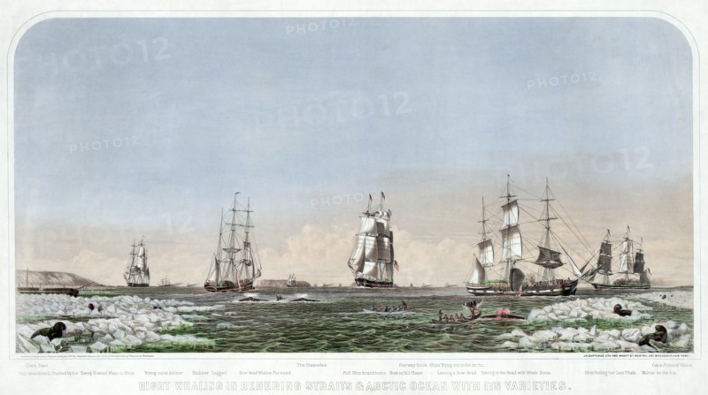 Right Whaling in Behering Straits & Arctic Ocean with its Varieties, pub. 1871. Creator: American School (19th Century).