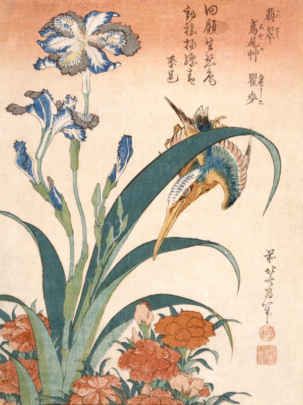 Kingfisher, Irises and Pinks, published c1834. Creator: Katsushika Hokusai (1760-1849).