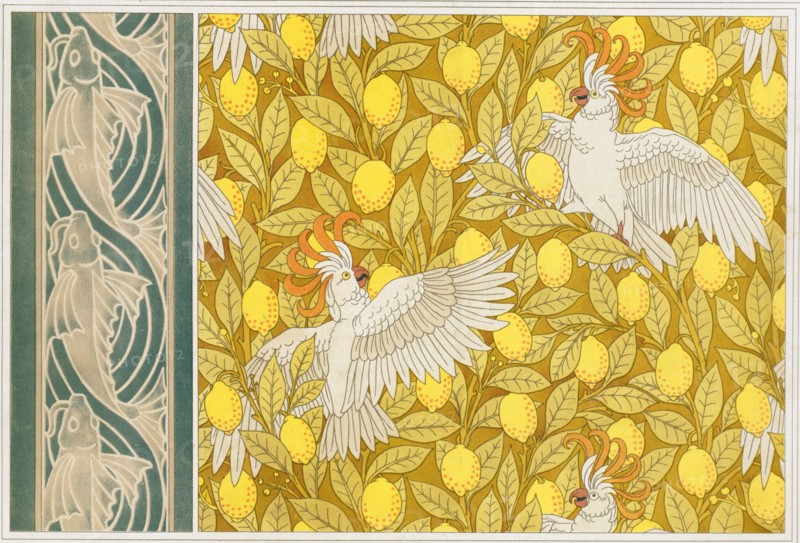 Design for Wallpaper "Cockatoos with Lemons" and Wallpaper Border with "Flying Fish",  pub. 1897. Creator: Maurice Pillard Verneuil (1869?1942).