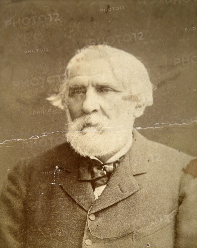 Ivan Turgenev, Russian author, 1870. Artist: Konstantin Schapiro