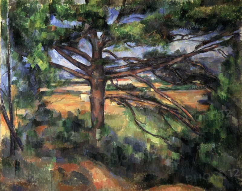 'A Big Pine Tree near Aix', 1895-1897.  Artist: Paul Cezanne