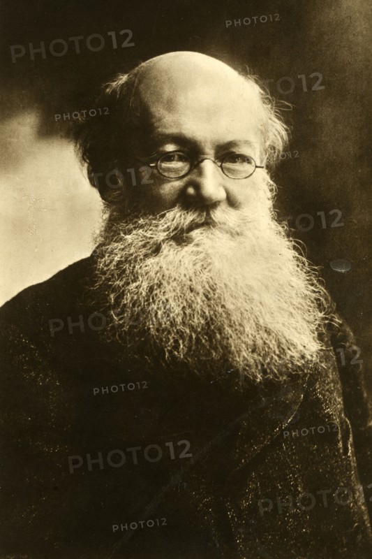 Pyotr Alexeyevich Kropotkin, Russian anarchist, c1900. Artist: Nadar