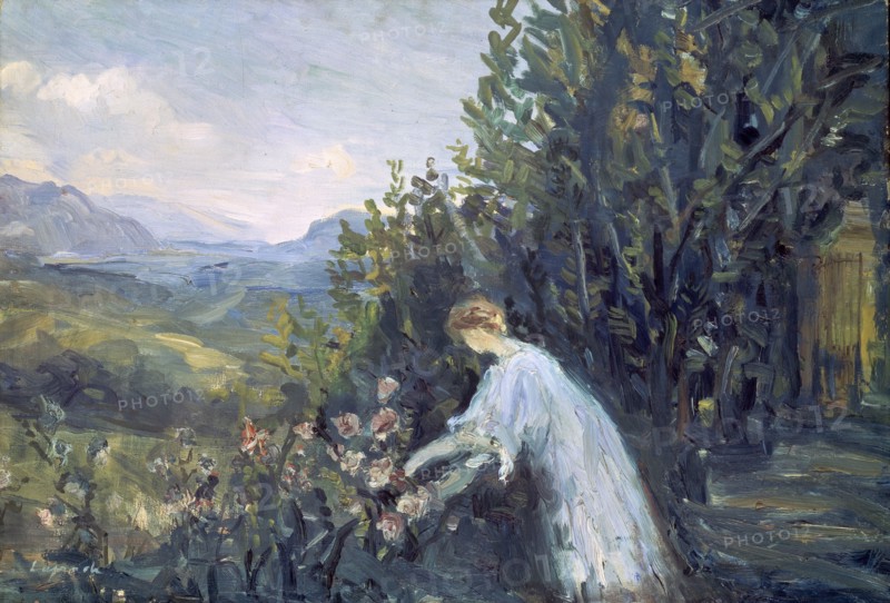 'Lady in the Garden', 1909-1911.  Artist: Pierre Laprade