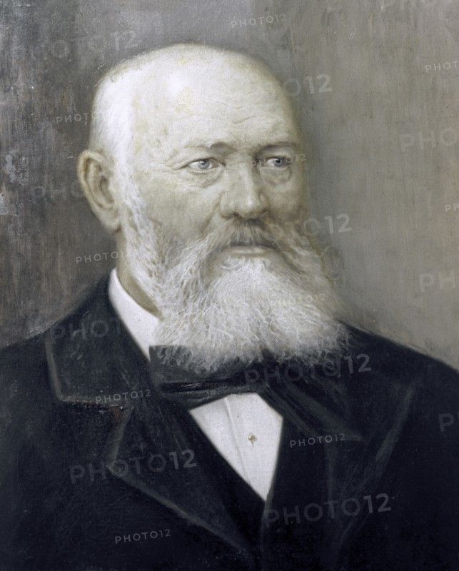 Alexander Ostrovsky, Russian playwright, 1884.  Artist: Alexander Lensky