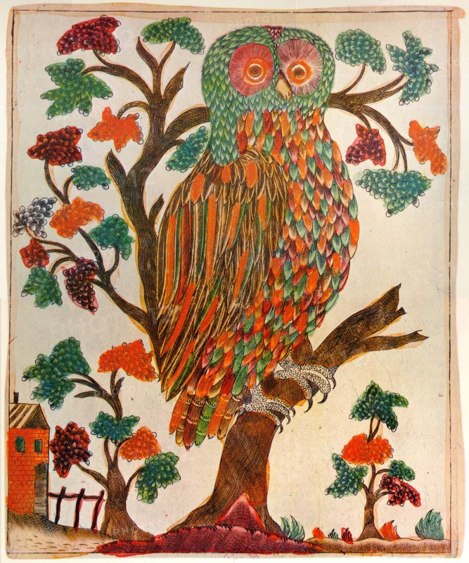 Owl, Lubok print, 1800. Artist: Unknown