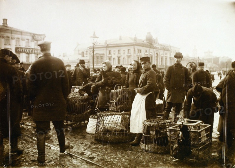 Bird market, Trubnaya Square, Moscow, Russia, 1908. Artist: Unknown