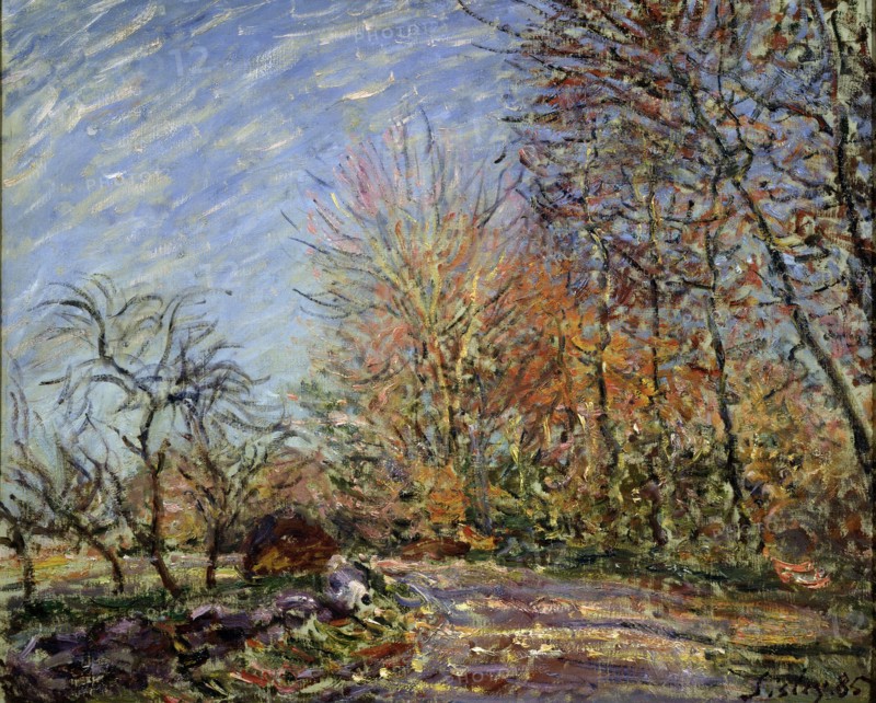 'At the edge of the forest in Fontainebleau', 1885.  Creator: Alfred Sisley.