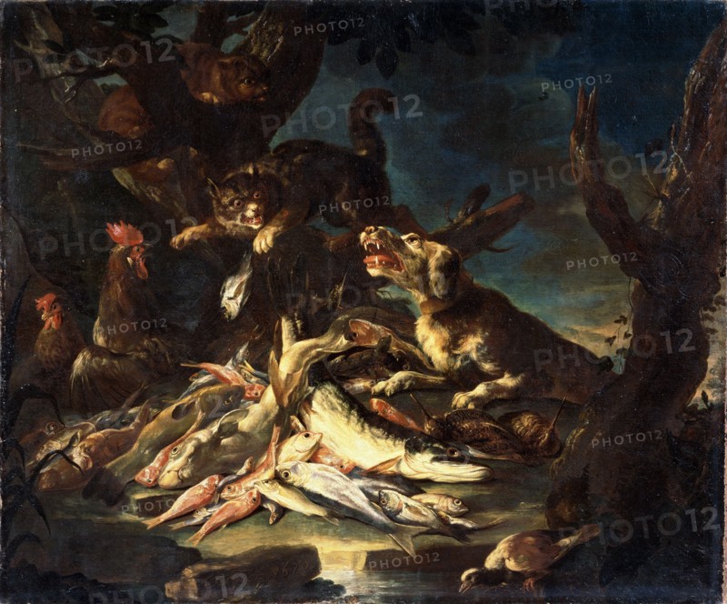 'Fish', 1620.  Artist: Frans Snyders