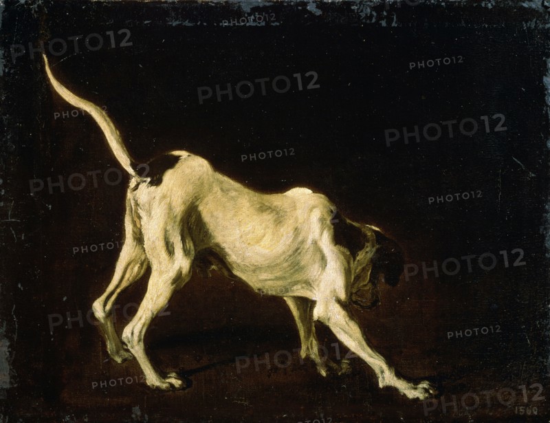 'A Dog', 17th century. Artist: Frans Snyders