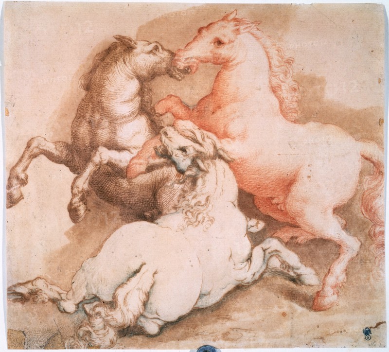 'Fighting Horses', c1550-1600. Creator: Unknown Old Master.