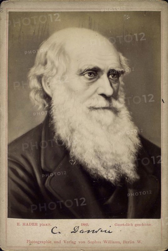 Charles Darwin, British naturalist, c1860s-c1870s. Artist: Ernst Hader