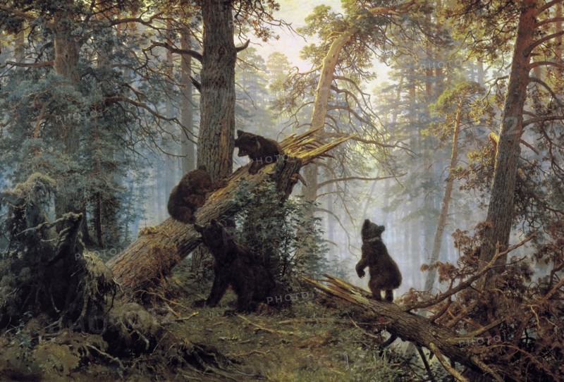 'Morning in a Pinewood', 1889.  Artist: Ivan Shishkin