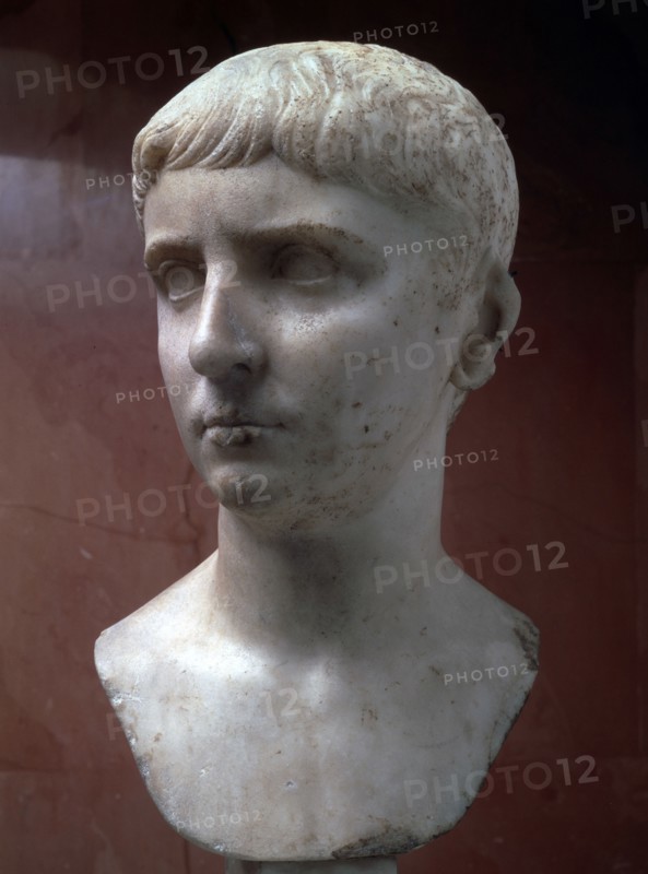Marble portrait bust of Gaius Julius Caesar, 1st half of 1st century. Artist: Unknown