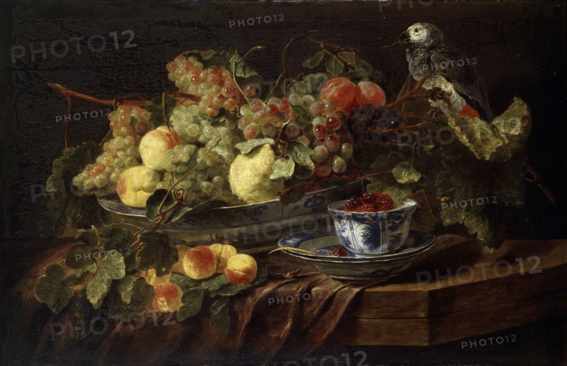 'Still Life with Fruit and Parrot', 1645.  Artist: Jan Fyt