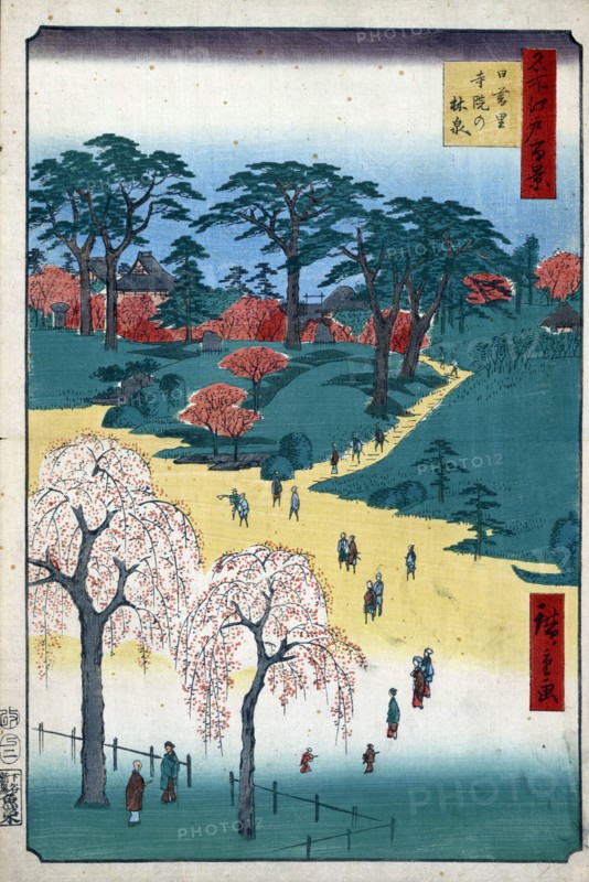 Temple Gardens in Nippori (One Hundred Famous Views of Edo), 1856-1858.  Creator: Hiroshige, Utagawa (1797-1858).
