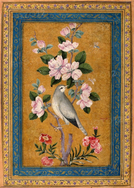 Bird Perching on a Blossoming Branch, 1696.  Creator: Yusuf Zaman (17th century).