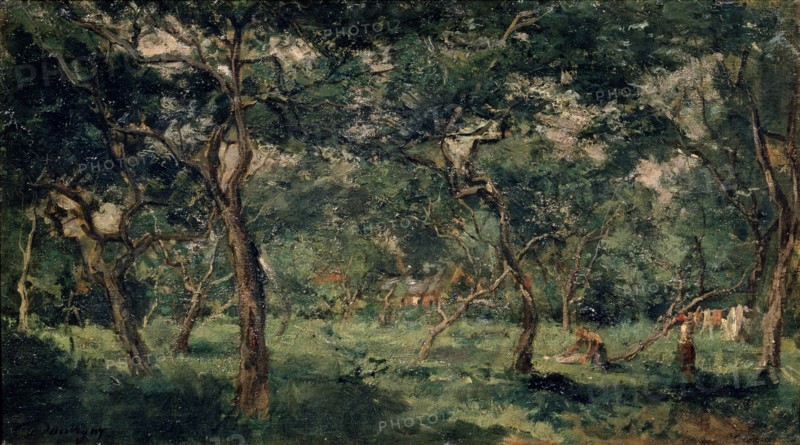 'Olive Orchard', early 1870s. Artist: Charles François Daubigny