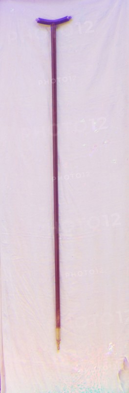 Tsar Mikhail Feodorovich's staff. In the vestry of the Ipatiev Monastery, Kostroma, 1911.