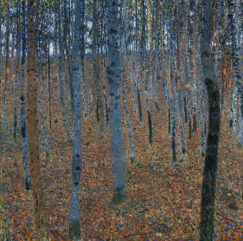 Beech Grove I, 1902. Artist: Klimt, Gustav (1862-1918)