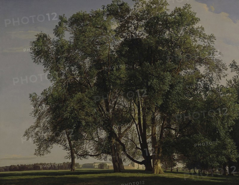 Prater Landscape, 1830. Artist: Waldmüller, Ferdinand Georg (1793-1865)