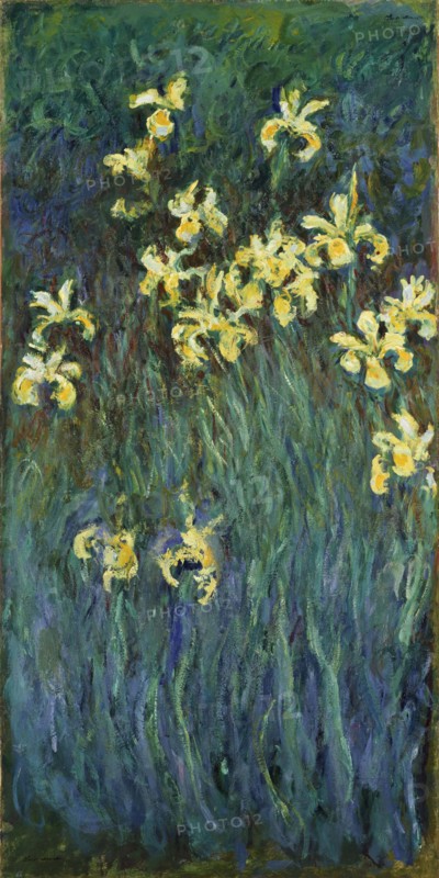 Yellow Irises, 1914-1917. Artist: Monet, Claude (1840-1926)