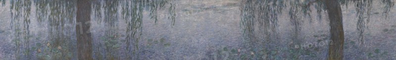 The Water Lilies - Clear Morning with Willows, 1914-1926. Artist: Monet, Claude (1840-1926)
