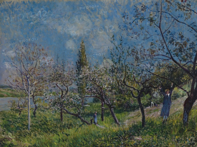 Orchard in Spring, By, 1881. Artist: Sisley, Alfred (1839-1899)