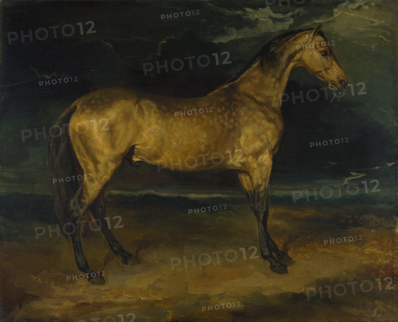 A Horse frightened by Lightning, ca 1814. Artist: Géricault, Théodore (1791-1824)