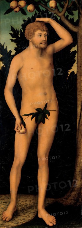 Adam, after 1537. Artist: Cranach, Lucas, the Elder (1472-1553)