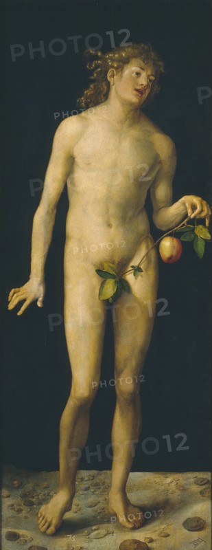 Adam, 1507. Artist: Dürer, Albrecht (1471-1528)