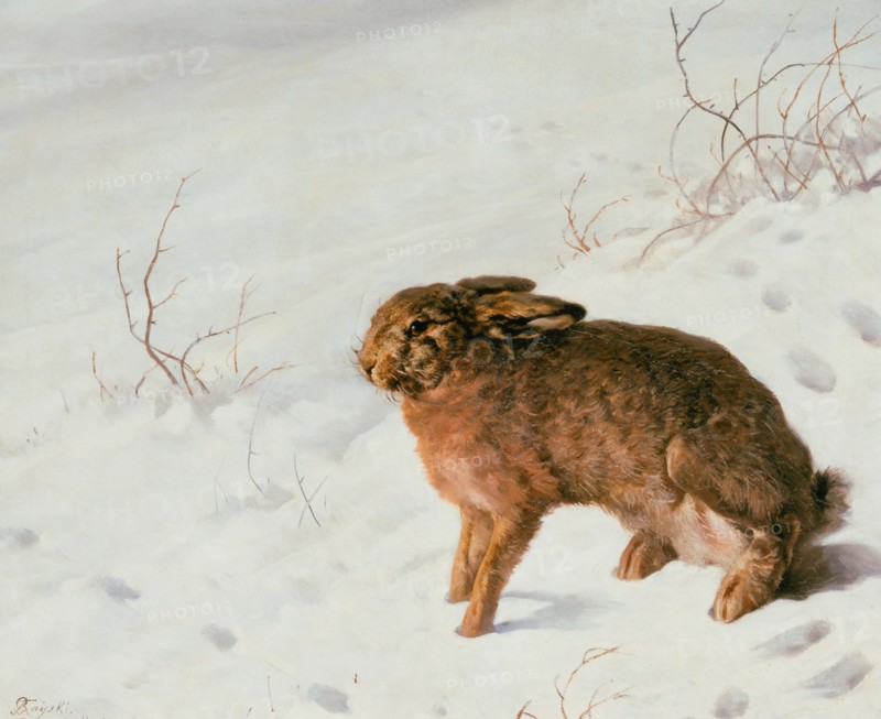 Hare in the Snow, 1875. Artist: Rayski, Louis Ferdinand von (1806-1890)