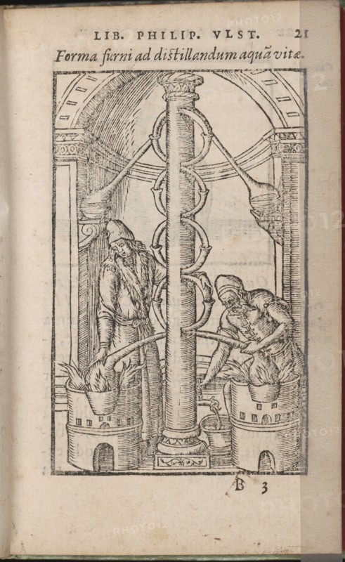 Alchemical apparatus (From: Liber de secretis naturae), 1556-1557. Artist: Ulstadius (Ulstadt), Philipus (Philip) (active 16th century)