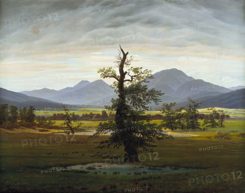 Solitary Tree (Village Landscape in Morning Light), 1822. Artist: Friedrich, Caspar David (1774-1840)