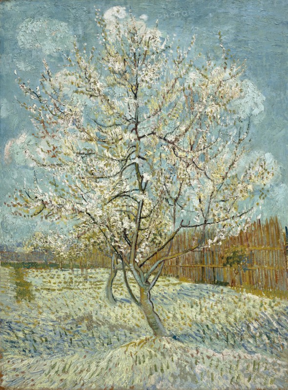 The Pink Peach Tree, 1888. Artist: Gogh, Vincent, van (1853-1890)