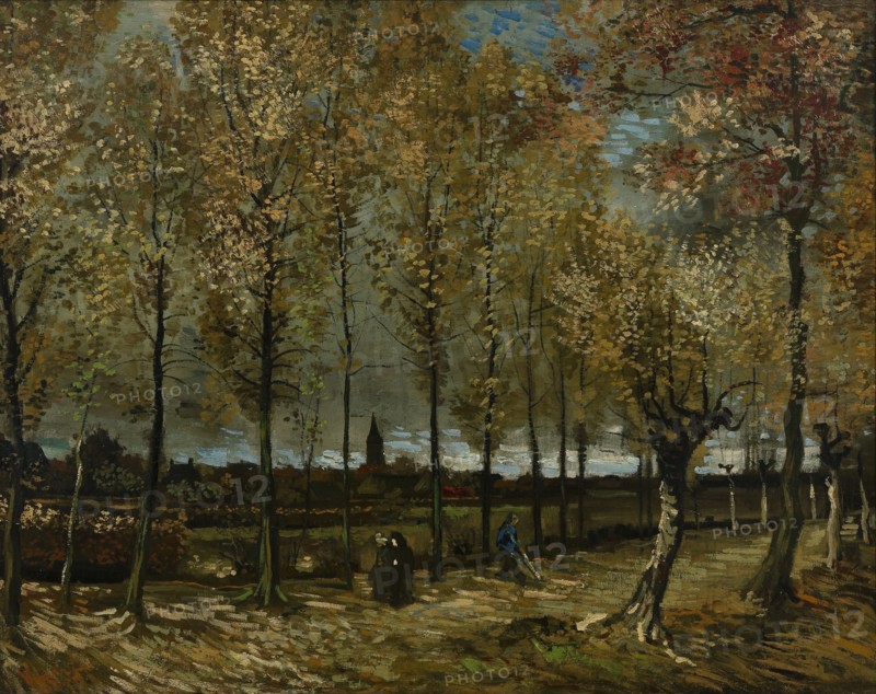 Poplars near Nuenen, 1885. Artist: Gogh, Vincent, van (1853-1890)