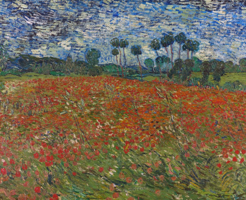Poppy field, 1890. Artist: Gogh, Vincent, van (1853-1890)