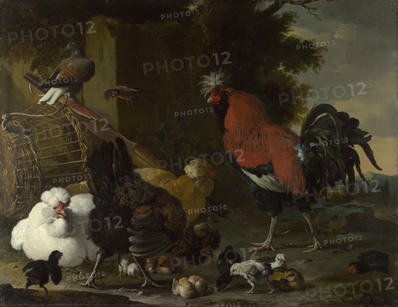 A Cock, Hens and Chicks, ca 1668-1670. Artist: Hondecoeter, Melchior de (1636-1695)