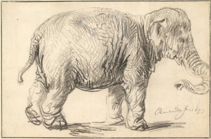 An Elephant, 1637. Artist: Rembrandt van Rhijn (1606-1669)