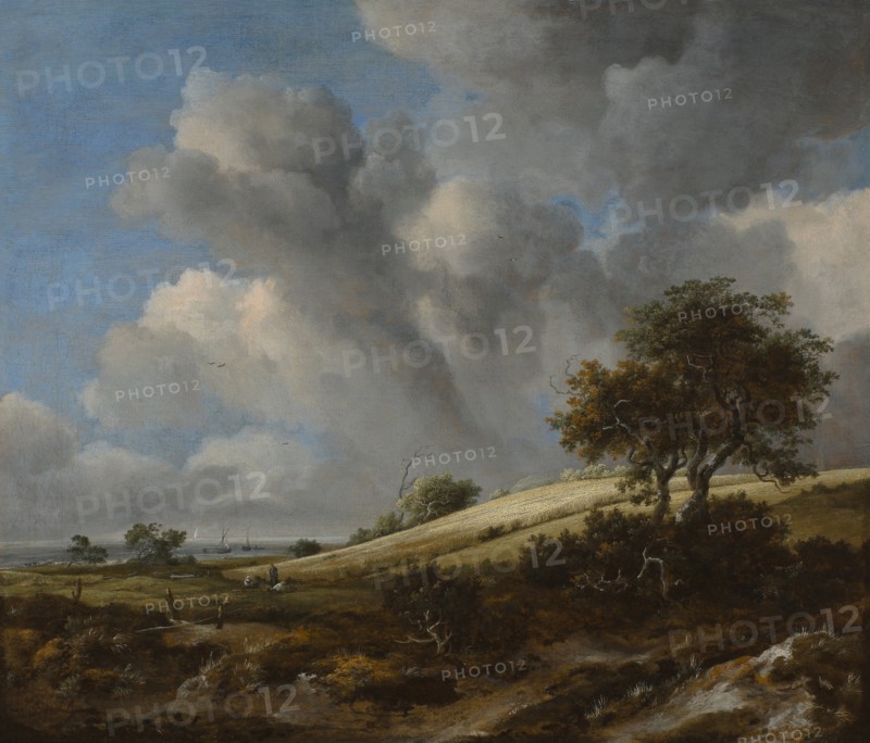A Cornfield with the Zuiderzee in the background, c. 1660. Artist: Ruisdael, Jacob Isaacksz, van (1628/29-1682)