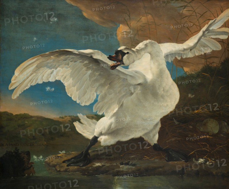 The Threatened Swan, before 1652. Artist: Asselijn, Jan (ca 1610-1652)