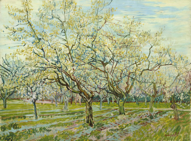 The white orchard, 1888. Artist: Gogh, Vincent, van (1853-1890)