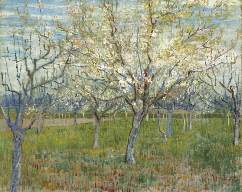 The pink orchard, 1888. Artist: Gogh, Vincent, van (1853-1890)